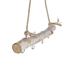Birkenast 30 cm mit Kordelhenkel und 4 Haken