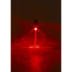 Flaschenlicht LED mit Fiberglas / Farbwechsel