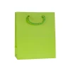 Geschenktüte hellgrün, mittel