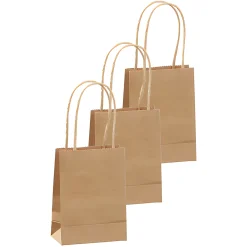 Geschenktüte natron, klein, 3 Stück