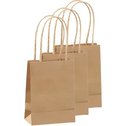 Geschenktüte natron, mittel, 3 Stück