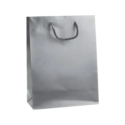 Geschenktüte silber, mittel