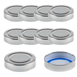 TO 58 Deep silber past. BLUESEAL, 10 Stück